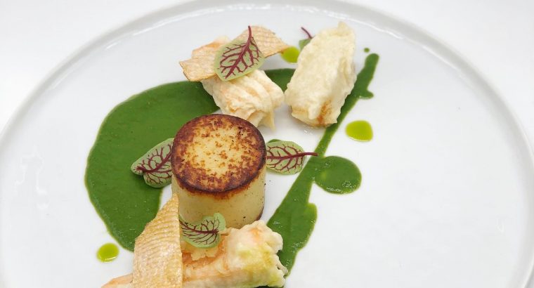 Tiny Leaf Microgreen Farm LLC